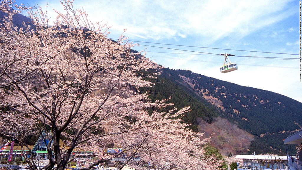 Cáp treo Kintetsu Beppu (Oita): Tuyến cáp treo này có thể đưa 101 hành khách lên đỉnh núi Tsurumi ở độ cao 1.375 m trong 10 phút. Vào mùa xuân, từ trên đỉnh núi, du khách có thể chiêm ngưỡng khung cảnh lộng lẫy khi hơn 2.000 cây anh đào nở hoa.