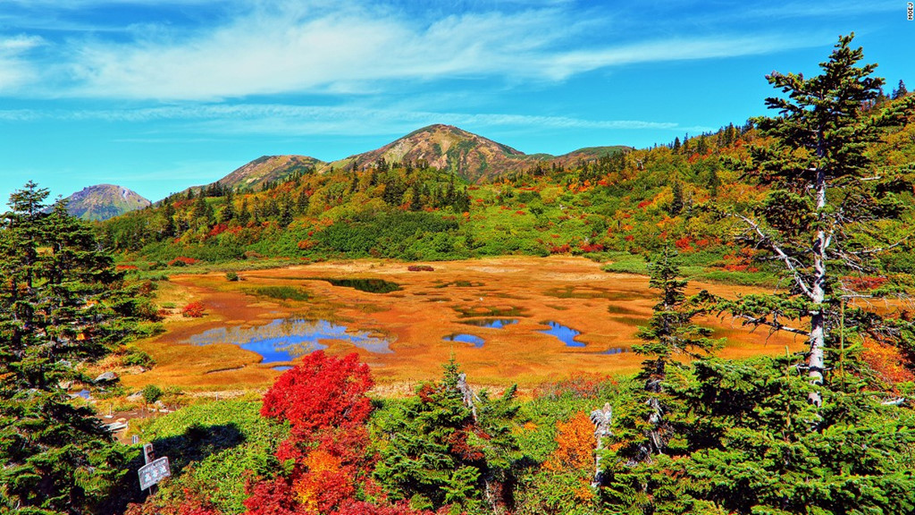 Hồ Koya (Niigata): Mùa thu trên núi Hiuchi đem lại cho hồ Koya những sắc màu rực rỡ. Hồ nước nông và phủ đầy cây này thay chiếc áo màu vàng, đỏ và xanh như khu rừng bao quanh. Đây là điểm dừng chân thú vị trên đường lên đỉnh Hiuchi.
