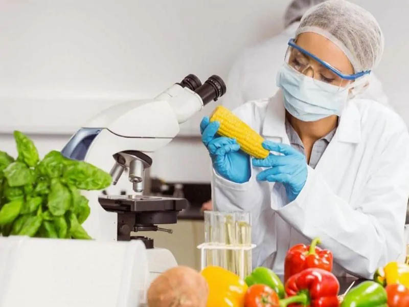 Nghề chuyên viên công nghệ thực phẩm ở Đức