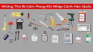 Những thứ bị cấm mang vào Hàn Quốc
