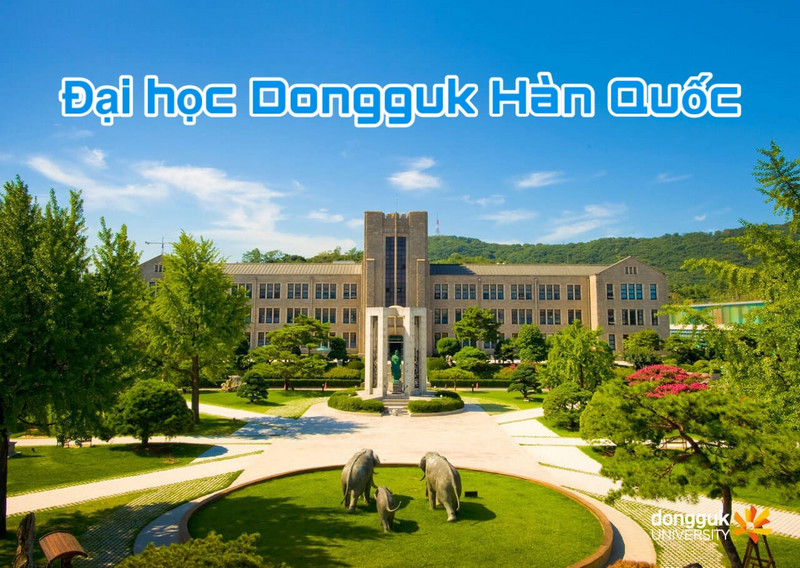 Tong-quan-ve-Truong-Dai-hoc-Dongguk