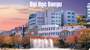 anh-img-dai-hoc-daegu