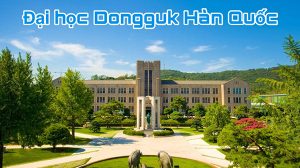 anh-img-dai-hoc-dongguk