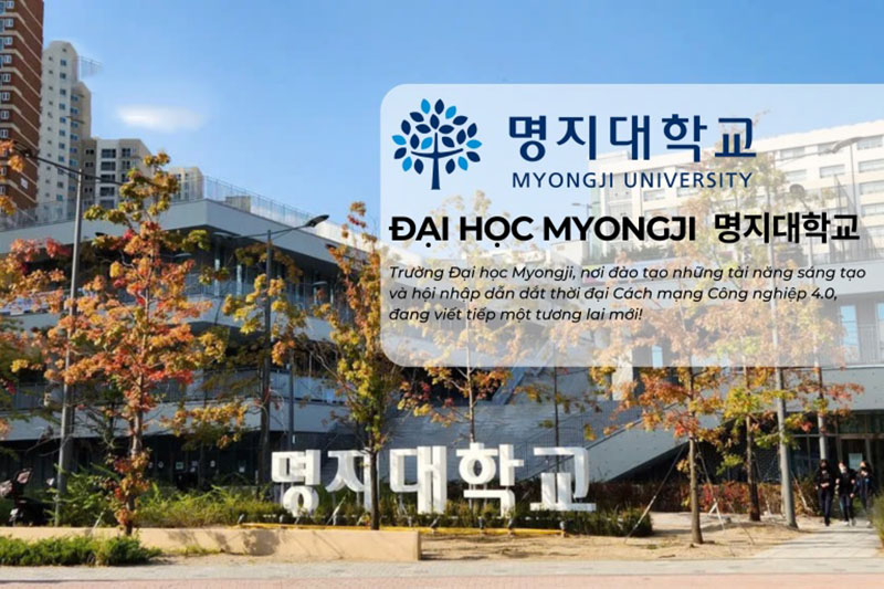 Chương trình đào tạo trường đại học Myongji