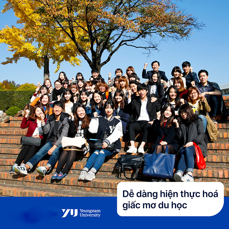 Chương trình Đại học tại Đại học Youngsan Hàn Quốc
