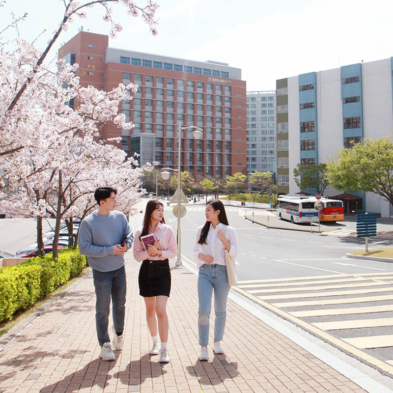 Chương trình đào tạo Đại học Kyungsung