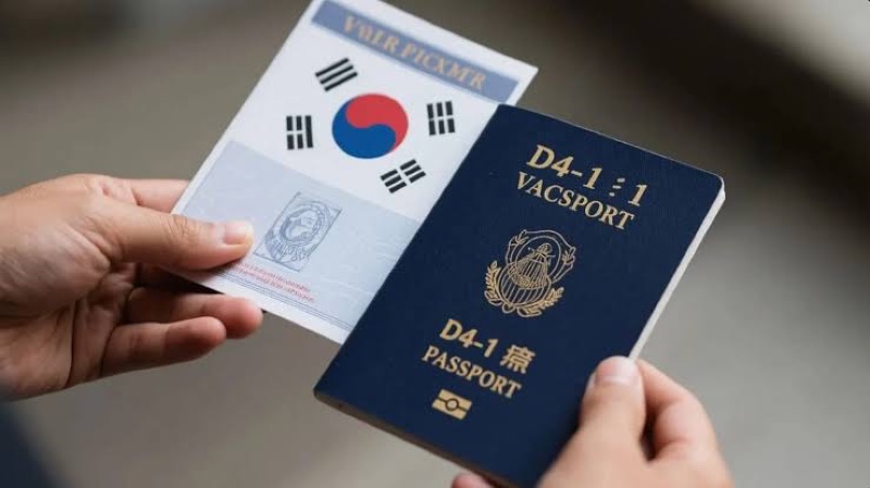 Visa D4-1 Hàn Quốc là gì